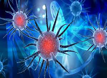 <p>Doku ve organlarda&nbsp; oluşan enfeksiyon has