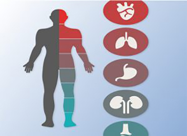 <p>Dahiliye B&ouml;l&uuml;m&uuml;, genellikle hast