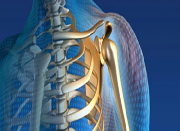 <p>Eklem, kemik yani iskelet sisteminin her t&uuml