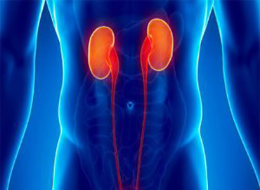 <p>Genito&uuml;riner sistemle ilgili her t&uuml;rl