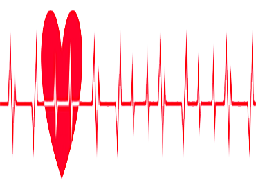 <p>Sterilizasyona uygun,&nbsp; 20&nbsp; K&uuml;v&o